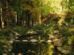 -上海共青森林公园