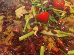 -老板恋上鱼(恒隆广场店)