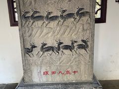 -上海醉白池公园