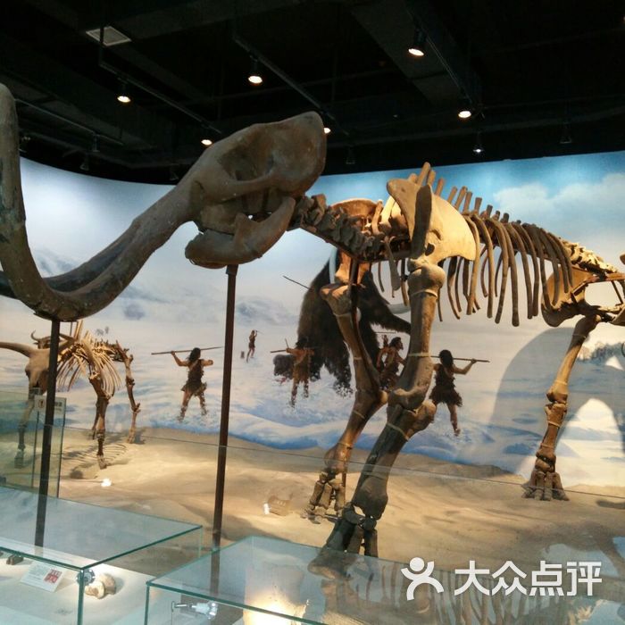 古生物博物馆图片-北京博物馆-大众点评网