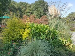 -昆山城市生态森林公园