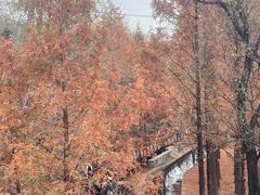 -白水寺森林公园