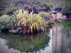 -九龙公园