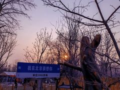 -1982农场
