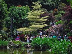 -深圳仙湖植物园