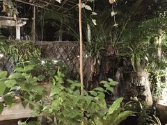 -Arunda oriental massage
