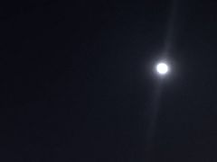 -公园茶楼粤式点心