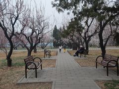 -天坛公园