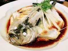 钱湖四宝-朋鱼-宁波柏悦酒店·钱湖渔港