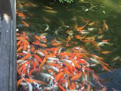 -厦门日月谷温泉渡假村