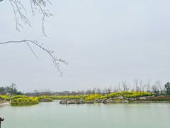 -武汉紫薇都市田园