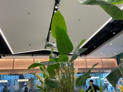 -川人百味·水煮活鱼(赛罕万达店)