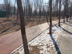 -大兴滨河森林公园