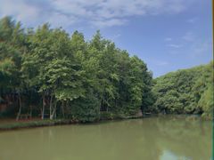 -象山森林公园