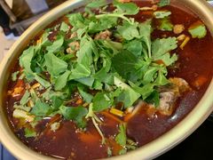 -伊兰麒兰馨园·川菜·清真馆(339电视塔店)