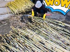 -拾光音乐餐酒吧(告庄星光夜市店)