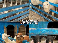 -宁波九龙湖开元度假村
