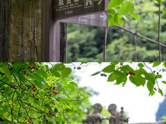 -光雾山旅游景区