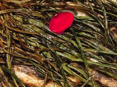 葱烤鸦片鱼头-老吉士(环贸iapm店)