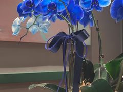 -沛家·西餐Brunch·直火料理