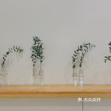 莆田这家新店巨好出片✨日系氛围感拉满
