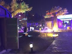 -大汗行宫园林餐厅