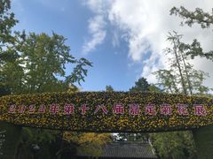 -汇龙潭