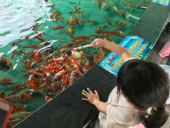 点击看大图 -云湖游乐园