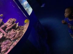 -江和美海洋公园