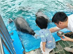 -北戴河圣蓝海洋公园