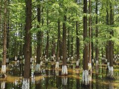 -艾溪湖湿地公园