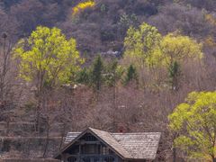 -九如山休闲旅游度假区
