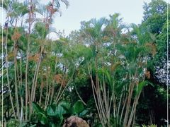 -人民公园(罗湖区)