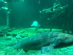 -华夏文旅海洋公园