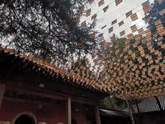 -岳麓山风景名胜区