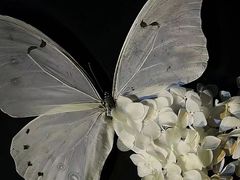 -水墨澜渟足道·SPA·传统(四望亭东关街店)