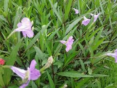 -乐享养生(东湖店)