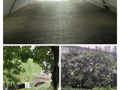 -元大都城垣遗址公园