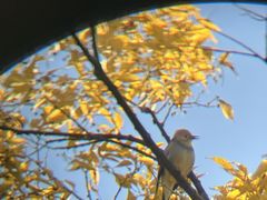 -云南艺术学院(呈贡校区)