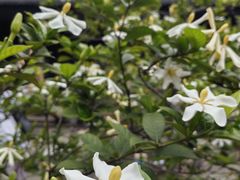 -陈家祠堂-游客中心