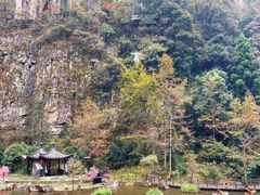 -刘伯温故里景区百丈漈