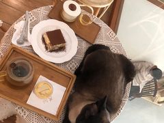 -猫友咖啡店(玉林西路店)