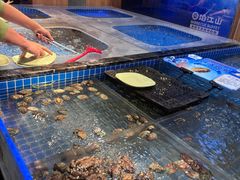 -焰江山海鲜牛排烤肉自助(锦华万达二星店)