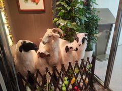 -百草滩羊清水涮羊肉·清真·宁夏盐池滩羊(莲花桥店)