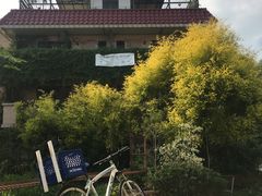 -南丫岛