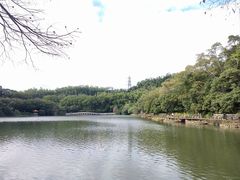 -深圳仙湖植物园