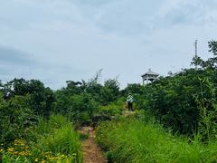 -灵岩山风景区