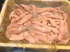 -潮庭·大连海鲜·炭火烧烤·扇贝王(大连店)