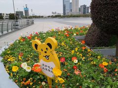 -映月湖中央公园