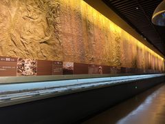 -大庆市博物馆